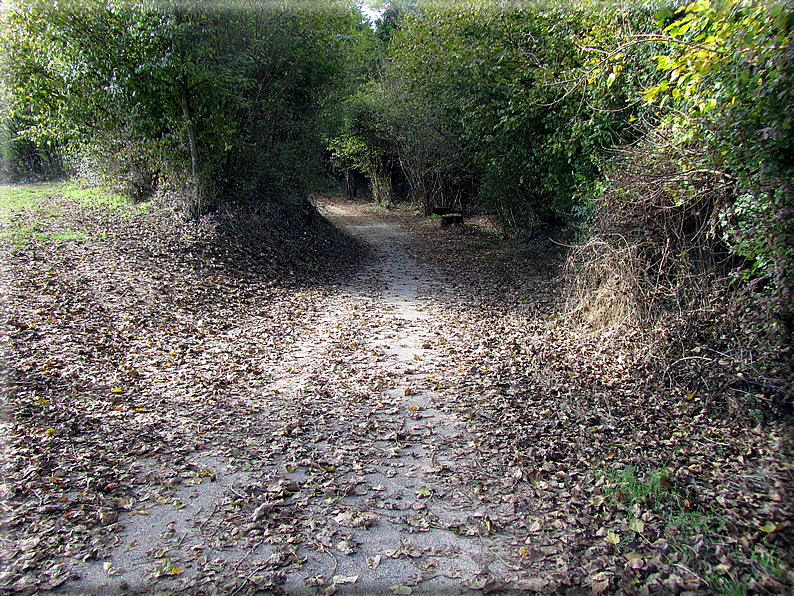 foto Colli Asolani in Autunno